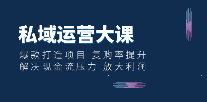 （6456期）私域运营大课：爆款打造项目 复购率提升 解决现金流压力 放大利润