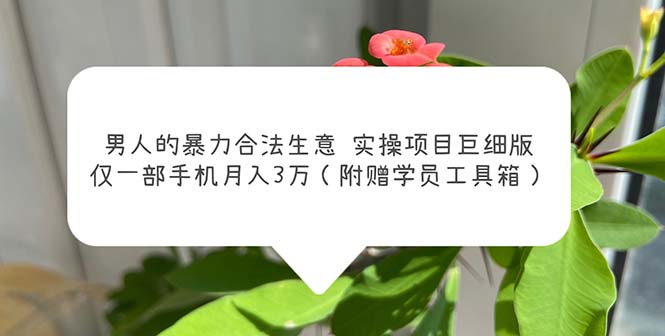 （5962期）男人的暴力合法生意实操项目巨细版：仅一部手机月入3w（附赠学员工具箱）