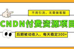 （5137期）CNDN付费资源项目，不用引流，无需做客服，后期被动收入，每天稳定300+