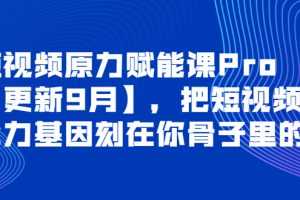 （3888期）短视频原力赋能课Pro【更新9月】，把短视频能力基因刻在你骨子里的课