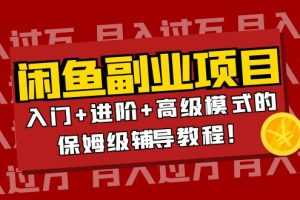（3879期）月入过万闲鱼副业项目：入门+进阶+高级模式的保姆级辅导教程！