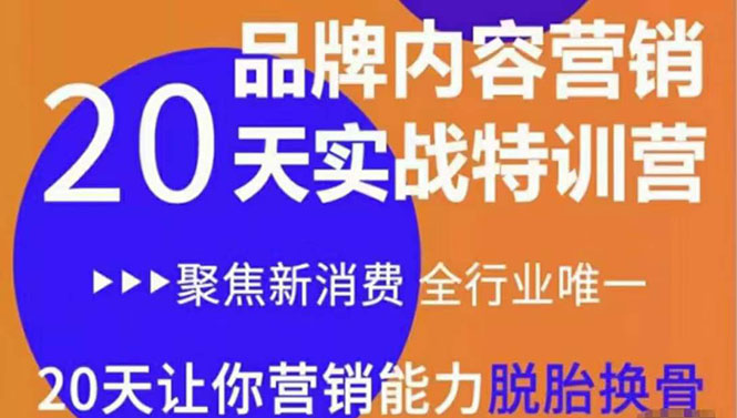 （3461期）《内容营销实操特训营》20天让你营销能力脱胎换骨（价值3999）