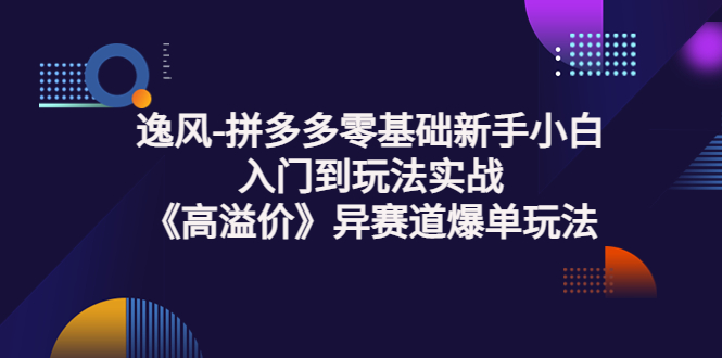 （3435期）逸风-拼多多零基础新手小白入门到玩法实战《高溢价》异赛道爆单玩法实操课