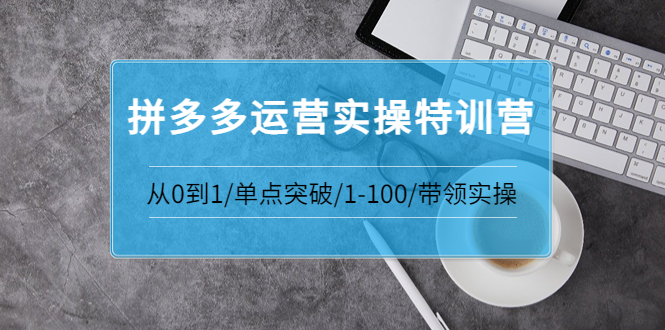 （3417期）青云:拼多多运营实操特训营：从0到1/单点突破/1-100/带领实操