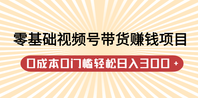 （2414期）零基础视频号带货赚钱项目，0成本0门槛轻松日入300+【视频教程】