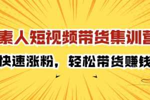 （2203期）素人短视频带货集训营：快速涨粉，轻松带货赚钱