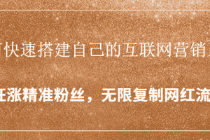 （1427期）如何快速搭建自己的互联网营销系统，疯狂涨精准粉丝，无限复制网红流量
