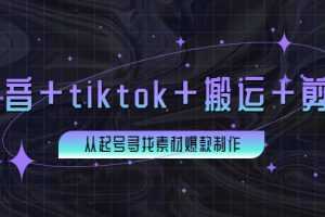 （3712期）百万粉丝博主·抖音+tiktok+搬运+剪映，从起号寻找素材爆款制作！