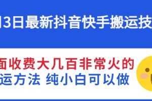 （2812期）6月3日最新抖音快手搬运技术 外面收费大几百非常火的搬运方法 纯小白可以做
