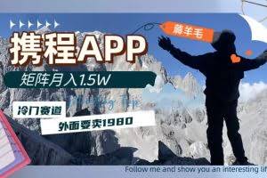 (7744期)携程APP薅羊毛,外面卖1980的冷门赛道,矩阵月入1.5w