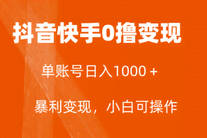 （7993期）全网首发，单账号收益日入1000＋，简单粗暴，保底5元一单，可批量单操作