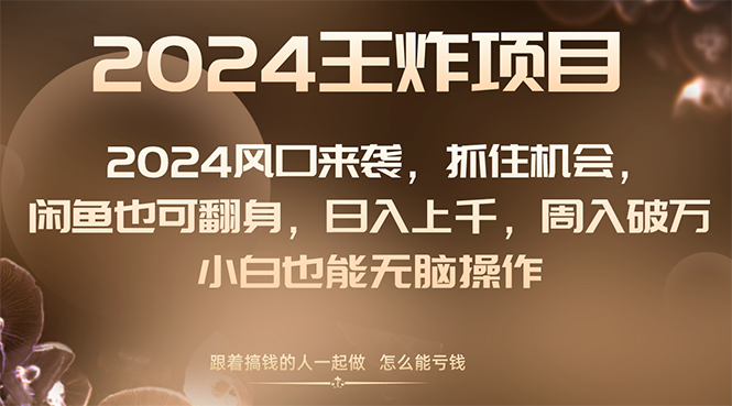 （8401期）2024风口项目来袭，抓住机会，闲鱼也可翻身，日入上千，周入破万，小白…-韬哥副业项目资源网