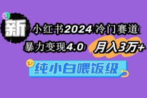 （9134期）小红书2024冷门赛道 月入3万+ 暴力变现4.0 纯小白喂饭级