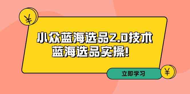 拼多多培训第33期：小众蓝海选品2.0技术-蓝海选品实操！_抖汇吧