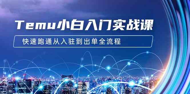 Temu小白入门实战课：跨境拼多多电商培训 快速跑通从入驻到出单全流程-12节_抖汇吧