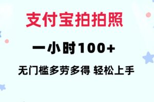 (12386期)支付宝拍拍照 一小时100+ 无任何门槛 多劳多得 一台手机轻松操做