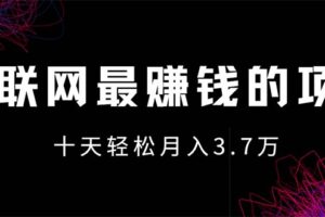 (12396期)互联网最赚钱的项目没有之一,轻松月入7万+,团队最新项目