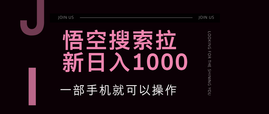 （12717期）悟空搜索类拉新 蓝海项目 一部手机就可以操作 教程非常详细-云推网创项目库