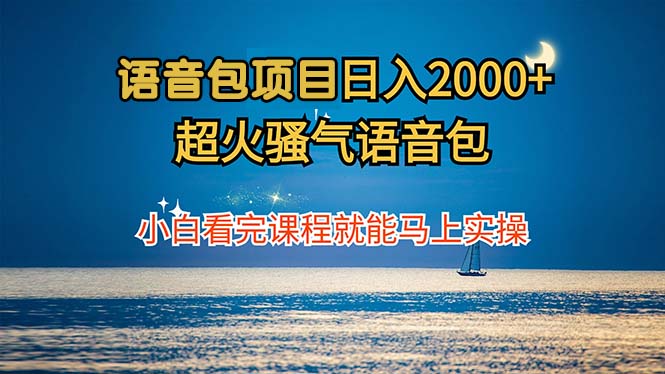 （12734期）语音包项目 日入2000+ 超火骚气语音包小白看完课程就能马上实操-云推网创项目库