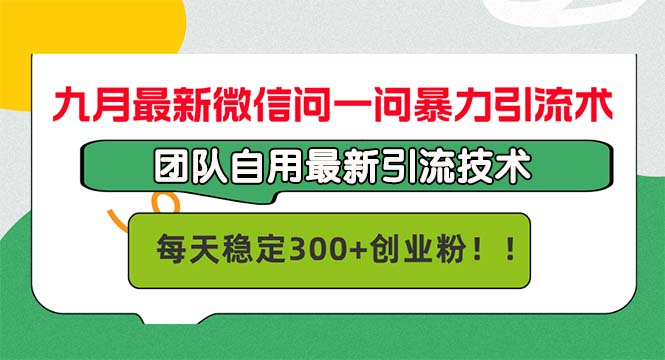 （12735期）九月最新微信问一问暴力引流术，团队自用引流术，每天稳定300+创…-云推网创项目库