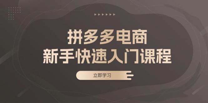 （13289期）拼多多电商新手快速入门课程：涵盖基础、实战与选款，助力小白轻松上手-云推网创项目库