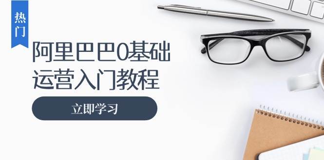 （13291期）阿里巴巴运营零基础入门教程：涵盖开店、运营、推广，快速成为电商高手-云推网创项目库