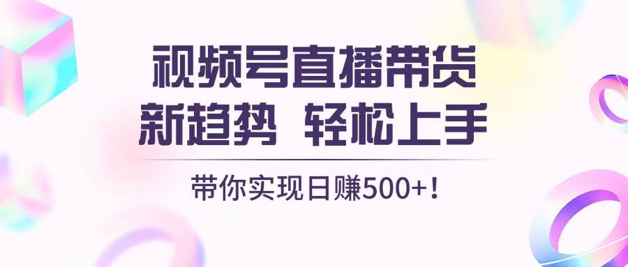 （13370期）视频号直播带货新趋势，轻松上手，带你实现日赚500+-云推网创项目库