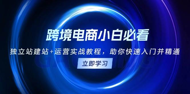 （13502期）跨境电商小白必看！独立站建站+运营实战教程，助你快速入门并精通-云推网创项目库