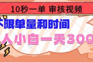 （14093期）10秒一单，审核视频 ，不限单量时间，新人小白一天300+