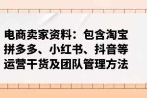 （14354期）电商卖家资料：包含淘宝、拼多多、小红书、抖音等运营干货及团队管理方法