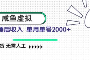 （14552期）咸鱼虚拟资料 自动发货 无需人工 单月单号2000+
