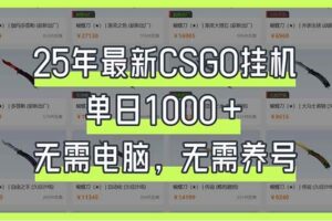 （14178期）25年最新CSGO挂机系统，单日1000+，无需电脑，无需养号，0基础可上手