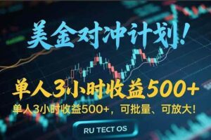 （15321期）长久稳定的撸美金项目，平均3小时收入 500+，可公司实地考察实地操作！