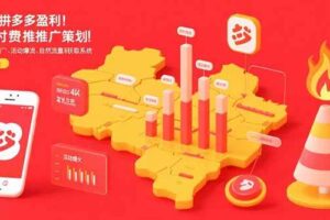 （15509期）2025拼多多盈利地图：强付费推广策略/活动爆流/自然流量获取系统(7月更新)