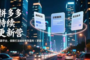 （16987期）拼多多持续更新营，最新玩法、诊断案例、前沿技术，紧跟平台，保障打法始终有效盈利（更新）