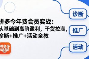 (18407期)拼多多年费会员实战(更新26年5月11):从基础到高阶盈利,干货拉满,诊断+推广+活动全教