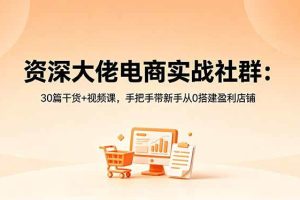 (18529期)资深大佬电商实战社群:30篇干货+视频课,手把手带新手从0搭建盈利店铺