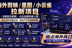 (18567期)海外剪映 / 星图 / 小云雀拉新项目 普通人也能上手的跨境流量变现副业