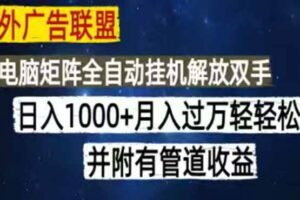(18989期)海外广告联盟每天几分钟日入1000+无脑操作,可矩阵并附有管道收益