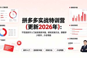 (19291期)拼多多实战特训营(更新2026年):不管是新手入门或老商家冲量,都有实操方法,跟着学,少走弯路