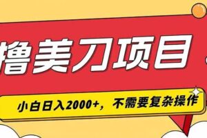 (19493期)撸美刀,单日收入2000+,小白可做