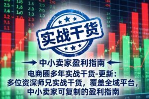 (19761期)电商圈多年实战干货-更新2026:多位资深师兄实战干货/覆盖全域平台,中小卖家可复制的盈利指南